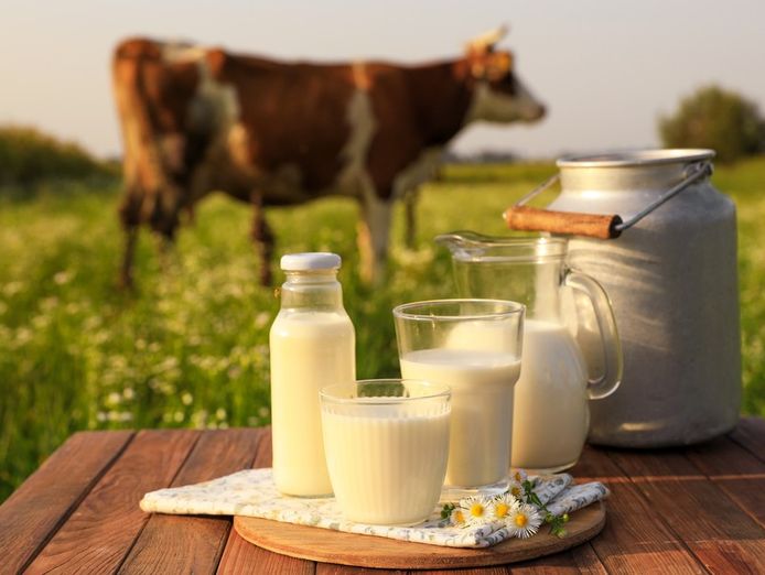 b2b-workplace-milk-fruit-supply-melbourne-750k-ebitda-under-management-6