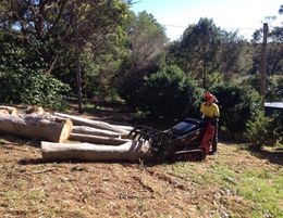 Tree removal/pruning and stump grinding business for sale in Moruya
