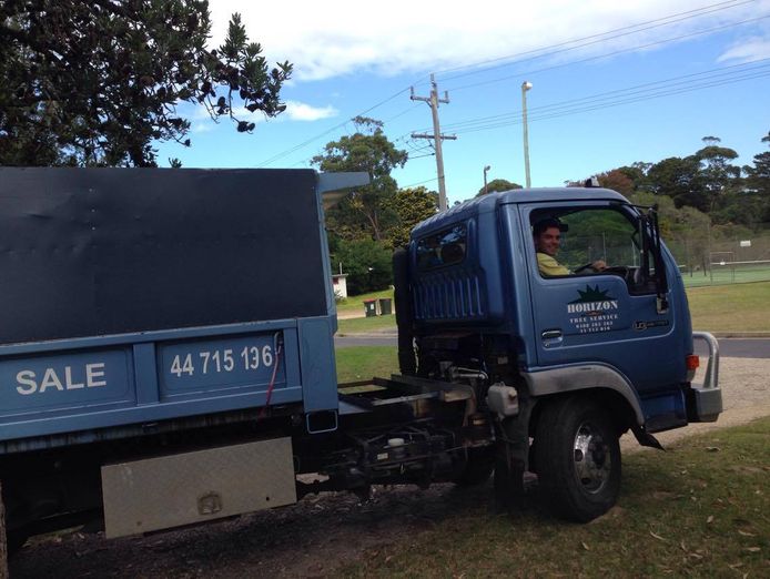 tree-removal-pruning-and-stump-grinding-business-for-sale-in-moruya-3