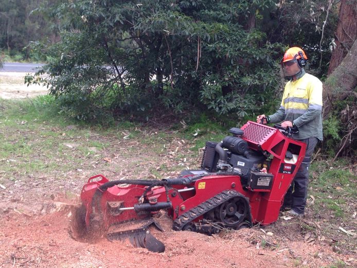 tree-removal-pruning-and-stump-grinding-business-for-sale-in-moruya-2