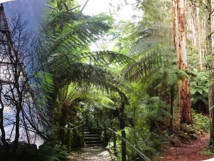 boutique-accommodation-retreat-freehold-dandenong-ranges-4