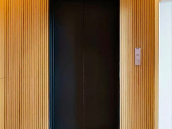 established-vertical-transportation-consulting-business-5