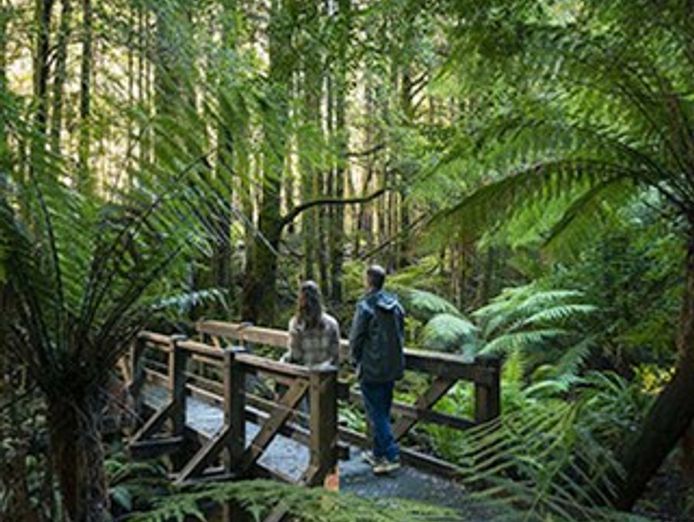 boutique-accommodation-retreat-freehold-dandenong-ranges-3