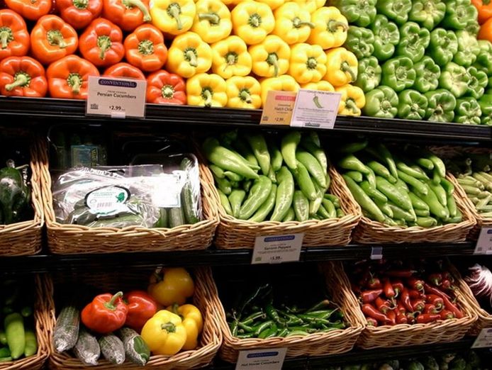 fruit-amp-veg-shop-north-of-cbd-rent-700-p-w-inc-dwelling-2