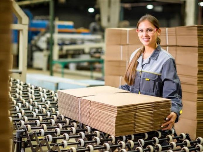 carton-manufacturing-business-b2b-70-years-history-1