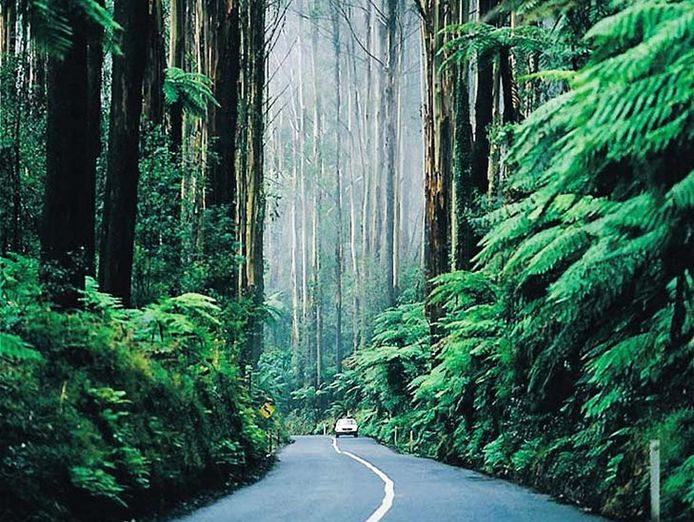 boutique-accommodation-retreat-freehold-dandenong-ranges-2