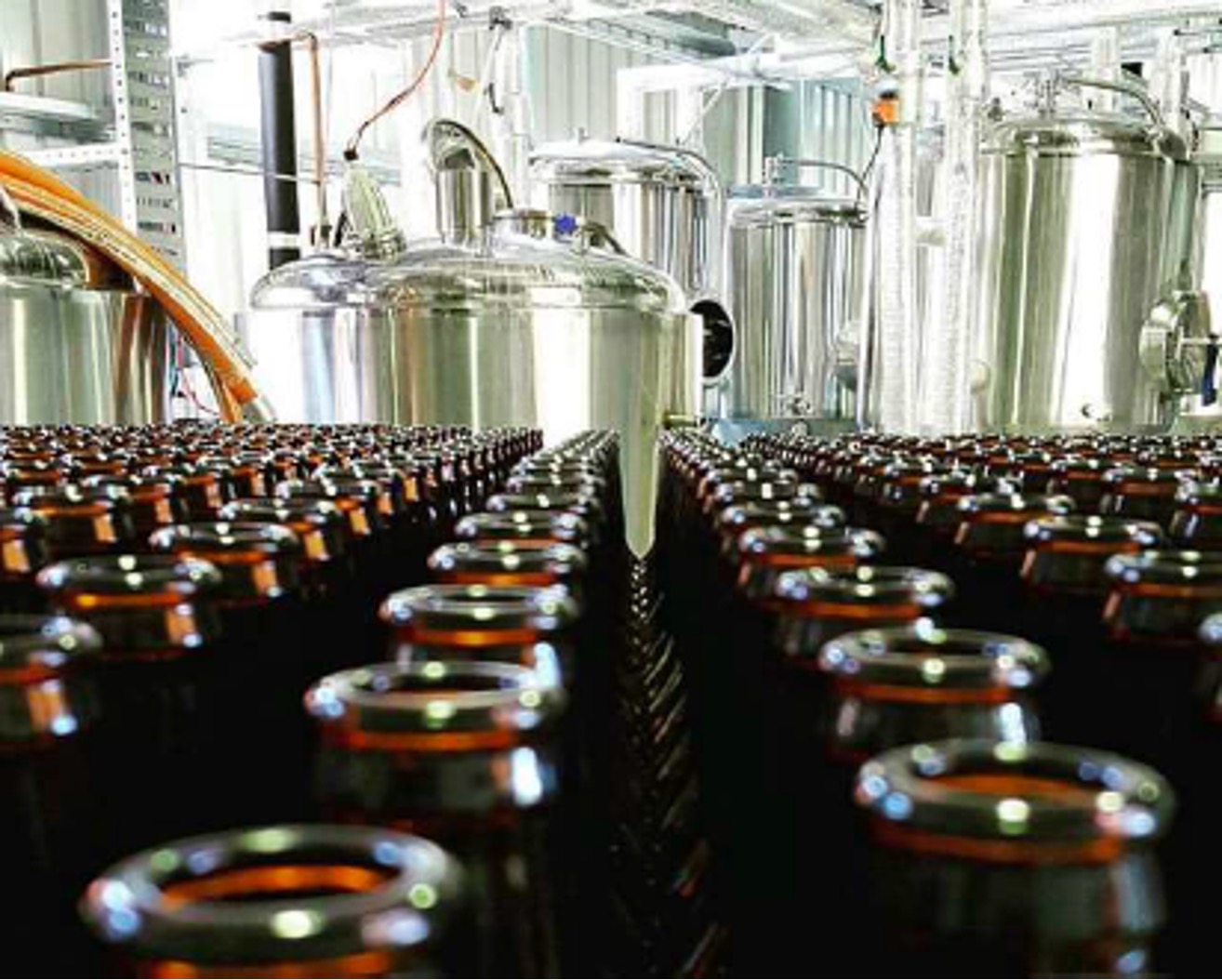 Fully Installed Craft Brewery for Sale Assets valued over 330k in Cairns QLD, 4870 SEEK
