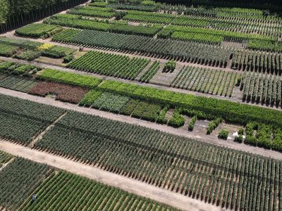 wholesale-production-nursery-great-lifestyle-beautiful-affordable-location-2