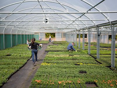 wholesale-production-nursery-great-lifestyle-beautiful-affordable-location-6