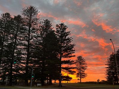 newly-renovated-beachside-cafe-for-sale-7