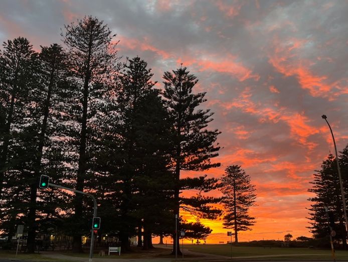 newly-renovated-beachside-cafe-for-sale-7