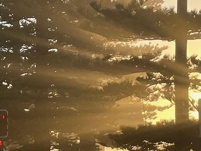 newly-renovated-beachside-cafe-for-sale-8