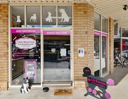 Established Dog Grooming Salon - Beerwah, Sunshine Coast QLD
