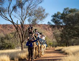 Iconic Camel Ride Tourism Business – Alice Springs, NT