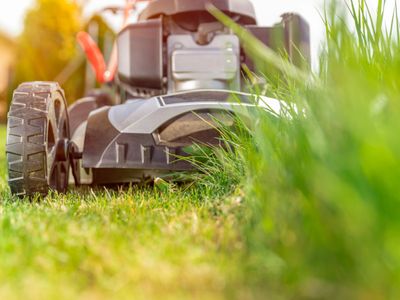 cleaning-gardening-and-support-services-business-gawler-sa-4