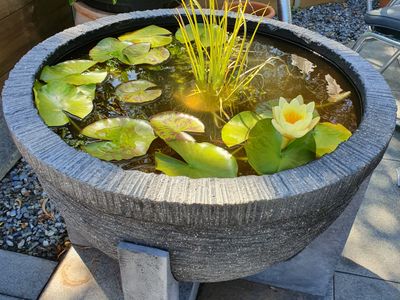 specialist-retail-garden-centre-clearview-sa-6