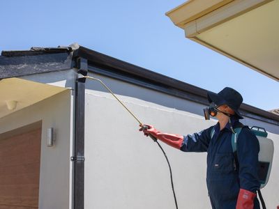sure-pest-control-franchises-brisbane-qld-1