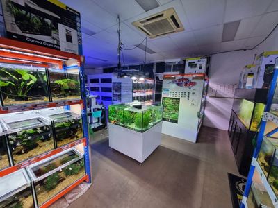 under-offer-boutique-aquarium-shop-plus-online-springfield-lakes-qld-2