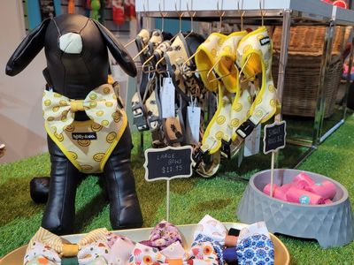 dog-grooming-daycare-and-boutique-shop-queanbeyan-nsw-4