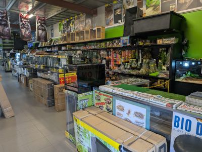 was-only-exclusive-reptile-and-hydroponic-shop-east-rockingham-wa-1