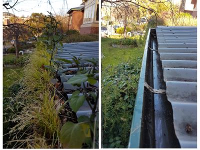 own-the-leading-gutter-cleaning-business-in-northern-tasmania-2