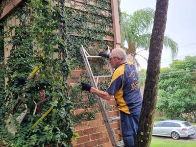 long-established-cleaning-business-sylvania-nsw-2