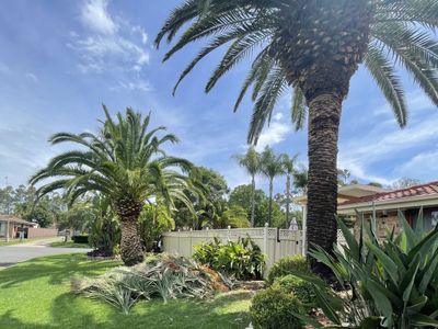 award-winning-gardening-landscaping-business-sydney-nsw-4