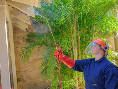 sure-pest-control-franchises-melbourne-vic-7