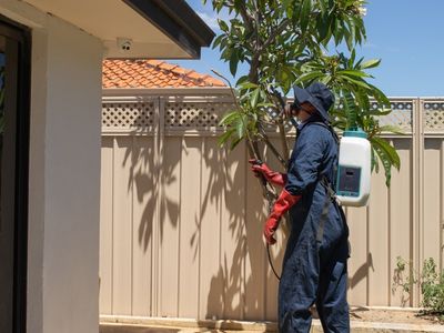 sure-pest-control-franchises-brisbane-qld-3