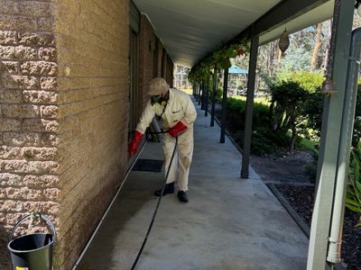 pest-control-termite-inspections-management-central-coast-nsw-1