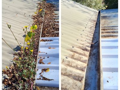 lucrative-gutter-vac-franchise-northern-rivers-nsw-7