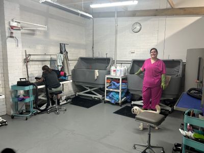dog-grooming-daycare-and-boutique-shop-queanbeyan-nsw-9