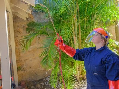 sure-pest-control-franchises-perth-wa-6