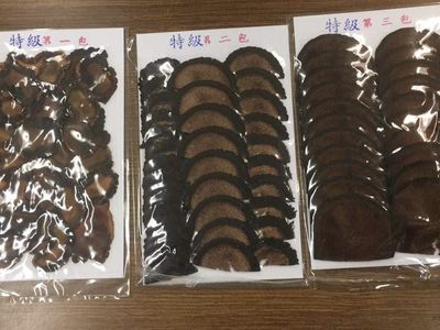 wholesale-dried-deer-velvet-tails-pizzles-sinews-crocodile-meats-manufacture-4