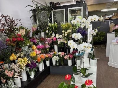 under-offer-prominent-florist-and-gift-shop-caringbah-nsw-2
