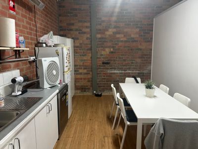 dog-grooming-daycare-and-boutique-shop-queanbeyan-nsw-8