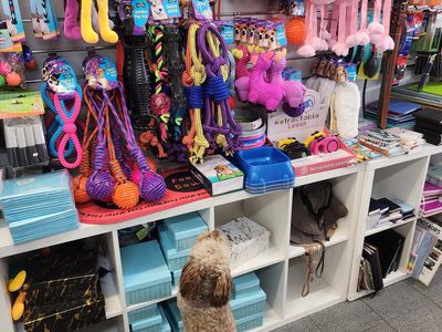 award-winning-newsagency-and-lotto-bunbury-wa-8