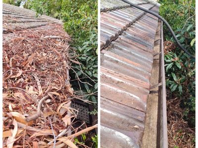 lucrative-gutter-vac-franchise-northern-rivers-nsw-6