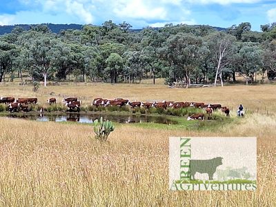 investment-opportunity-in-ethical-farmed-supply-chain-and-farming-property-2