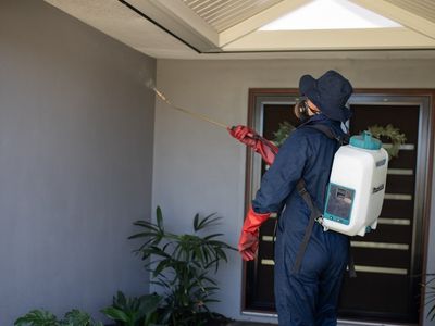 sure-pest-control-franchises-perth-wa-7
