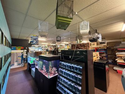 retail-pet-supplies-business-tamworth-nsw-2