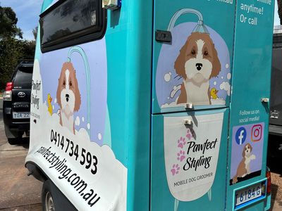 mobile-dog-grooming-service-canberra-1