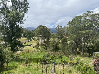 bakery-and-pie-shop-plus-accommodation-bemboka-nsw-8