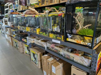 was-only-exclusive-reptile-and-hydroponic-shop-east-rockingham-wa-8
