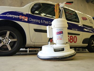 carpet-cleaning-and-pest-control-business-central-coast-nsw-4
