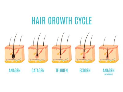 exciting-business-opportunity-in-the-hair-loss-treatment-industry-sydney-nsw-4