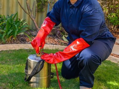 sure-pest-control-franchises-brisbane-qld-6