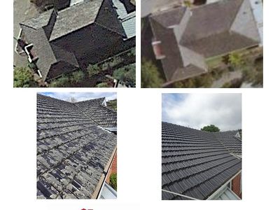 own-the-leading-gutter-cleaning-business-in-northern-tasmania-5