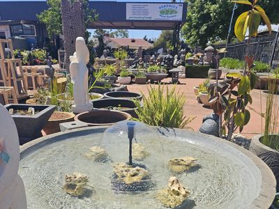 specialist-retail-garden-centre-clearview-sa-0