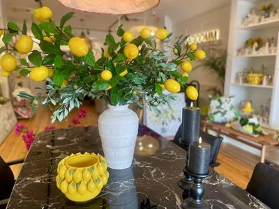 home-and-lifestyle-retail-store-mosman-nsw-7